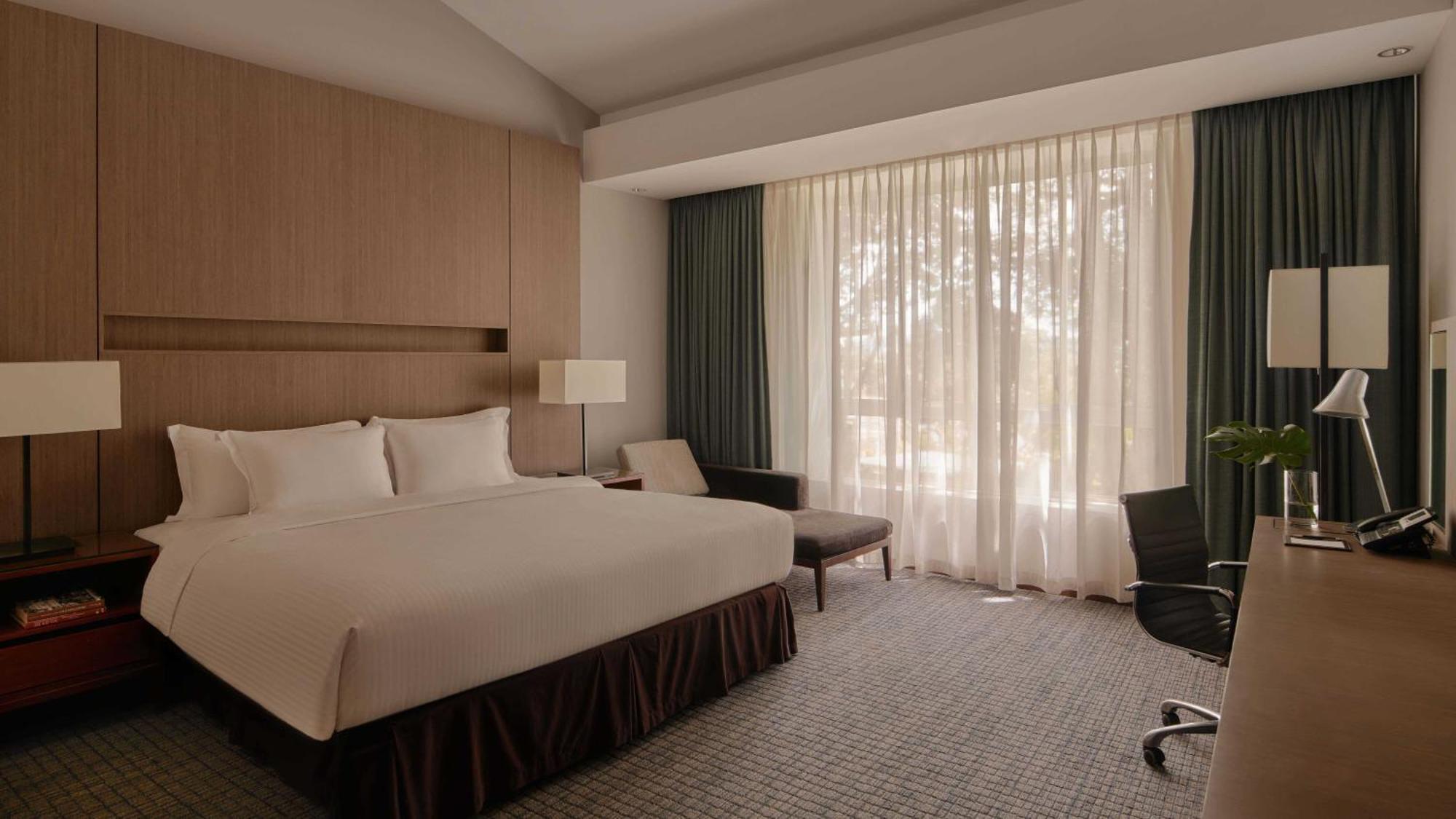Deluxe Double or Twin Room,1620201236:JPEG